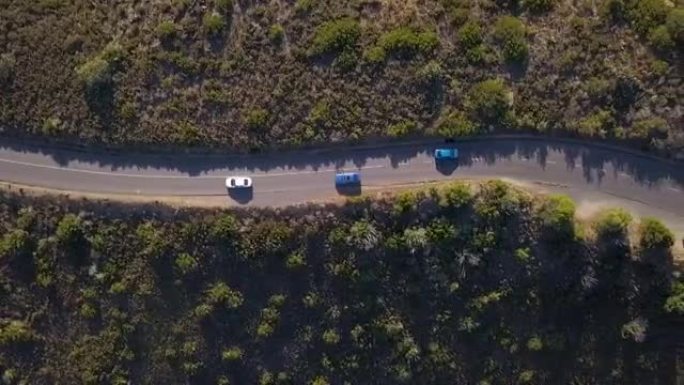 Aerial view of cars on a single road