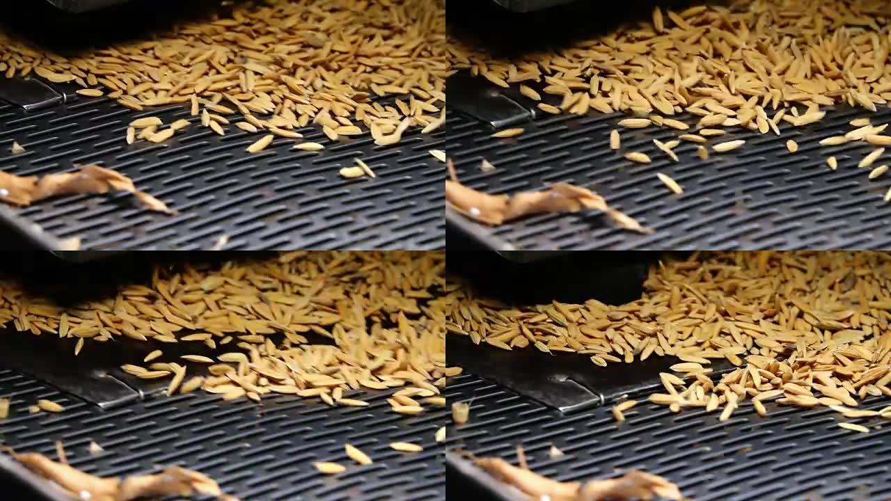 碾米机上的慢动作米粒