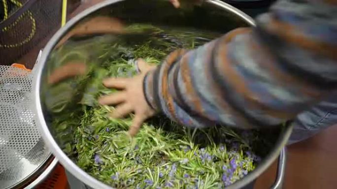 在一个高山小村庄的蒸馏立方体中通过蒸汽蒸馏生产香料香精