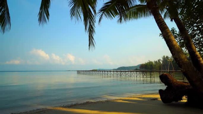 美丽的热带海滩和椰树海