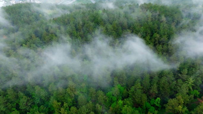 航拍山间森林云雾4k