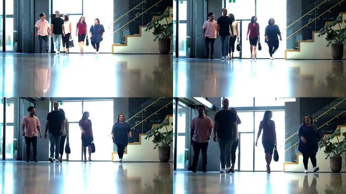 工作场所的多样性: 毛利人，萨摩亚人和高加索人的办公室员工到达现代建筑中工作