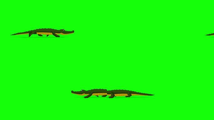 Little Crocodile Runs Chroma