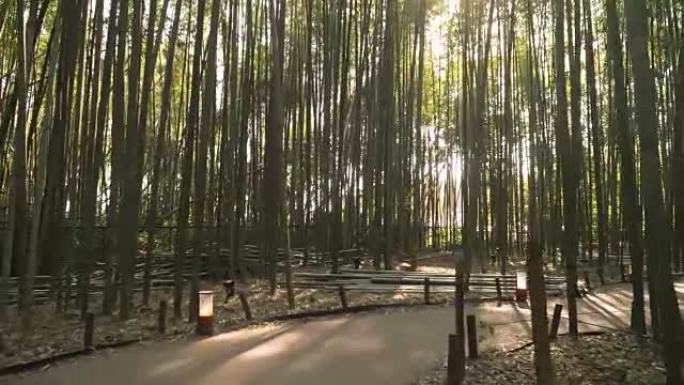 日本京都岚山竹林的行人步道