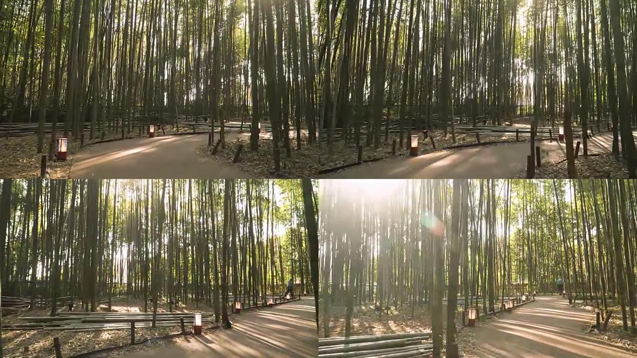 日本京都岚山竹林的行人步道