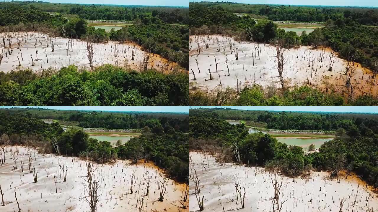 泰国那拉提瓦死树的鸟瞰图