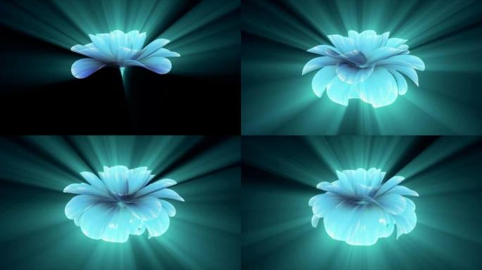 开放长开闪亮浅蓝色紫色花朵延时3d动画孤立背景新质量美丽假日自然花卉酷漂亮全高清视频素材