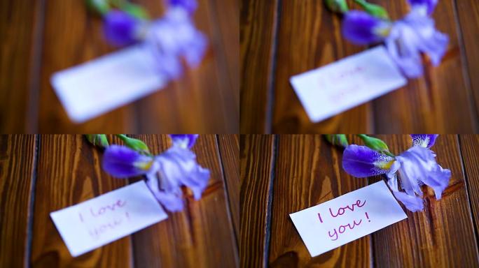 美丽的紫罗兰鸢尾花