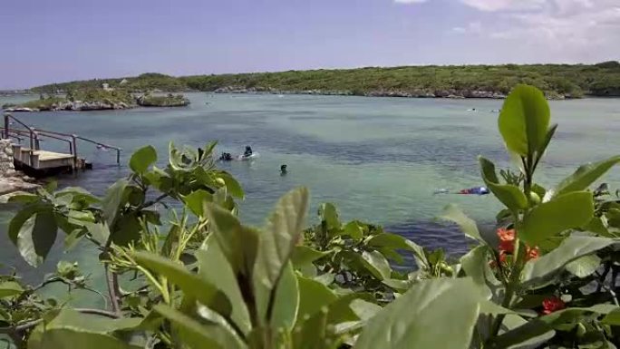 图勒姆Xel-Ha，泻湖浮潜天堂，视频osmo 4K