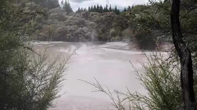 新西兰罗托鲁瓦的灌木丛框架沸腾的泥浆池