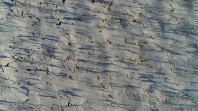 在冬季的冲线和积雪覆盖的草地上进行空中射击