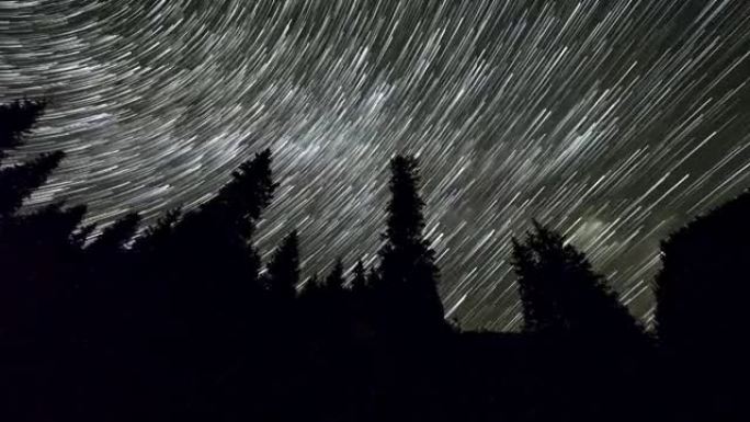 夜星星空的累积时间流逝，针叶树上的星星痕迹