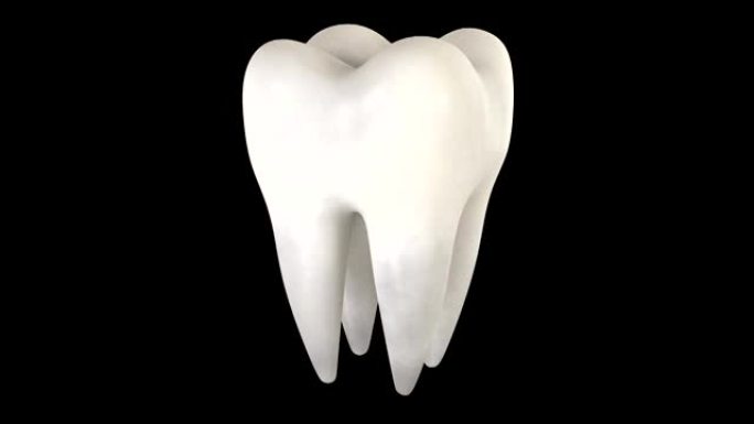 带有alpha的牙齿的3D动画