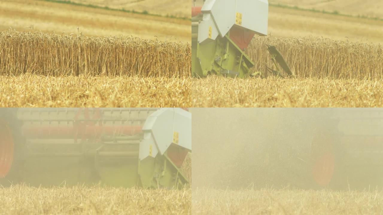 Dusty Wheat Harvest