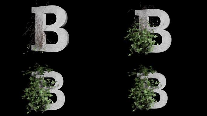 类型字母B.常春藤生长石字母表