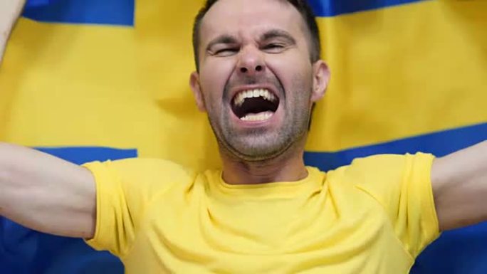 瑞典球迷庆祝举着瑞典国旗慢动作，4k，高品质