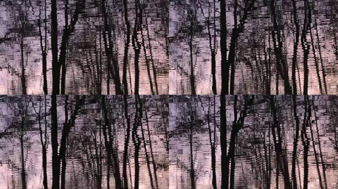 月光蓝调树在水中反射