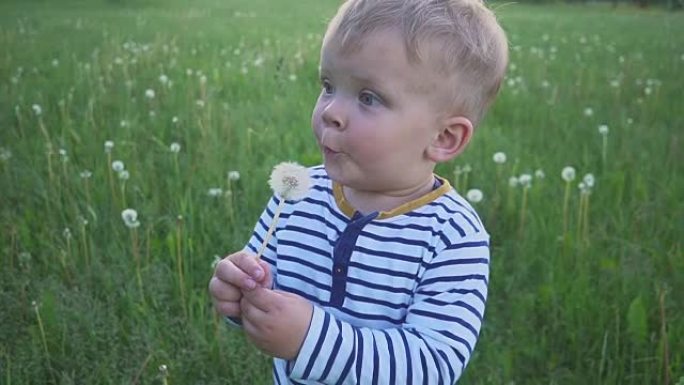 男孩手里拿着一朵白色蒲公英花