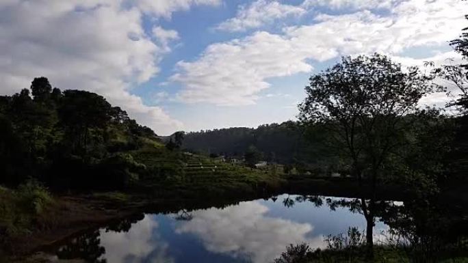 印度东北部茂密的绿色森林和植被