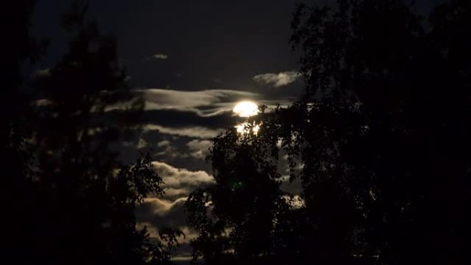 满月在夜空中移动穿过乌云和树木。延时