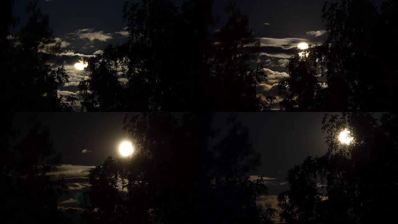 满月在夜空中移动穿过乌云和树木。延时