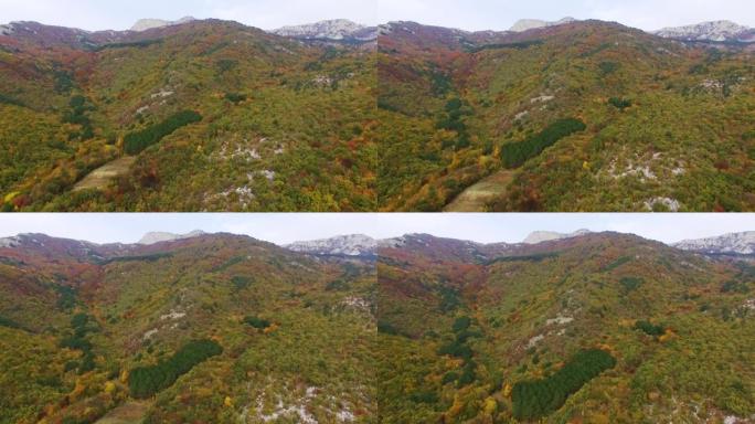 空中: 山上色彩缤纷的秋天森林