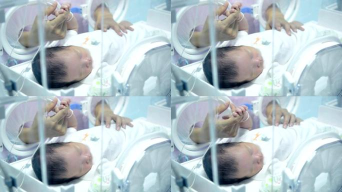 母亲在保温箱内握着新生婴儿的手，母亲看着在医疗重症监护病房内睡觉的新生婴儿的特写