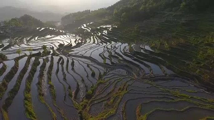 湖北五云山梯田