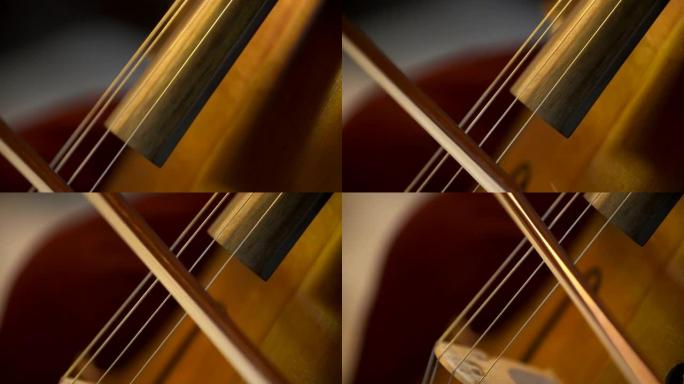 管弦乐队中的大提琴。演奏大提琴的音乐家