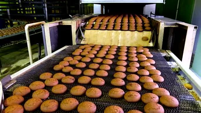 烤燕麦饼干生产线。传送带上的饼干