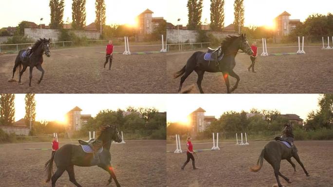 女孩在教一匹马绕圈跑