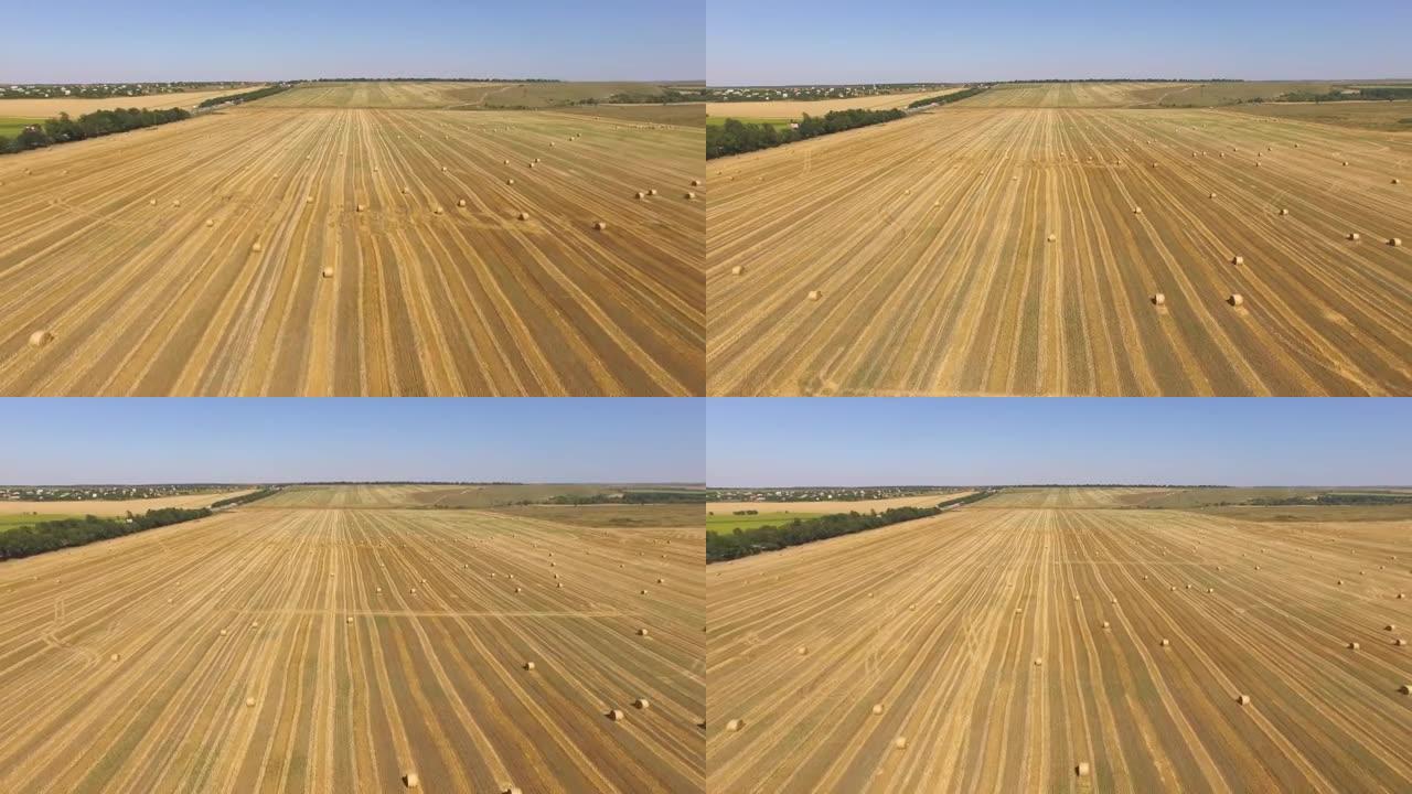天线:收获后麦田里堆积的干草堆