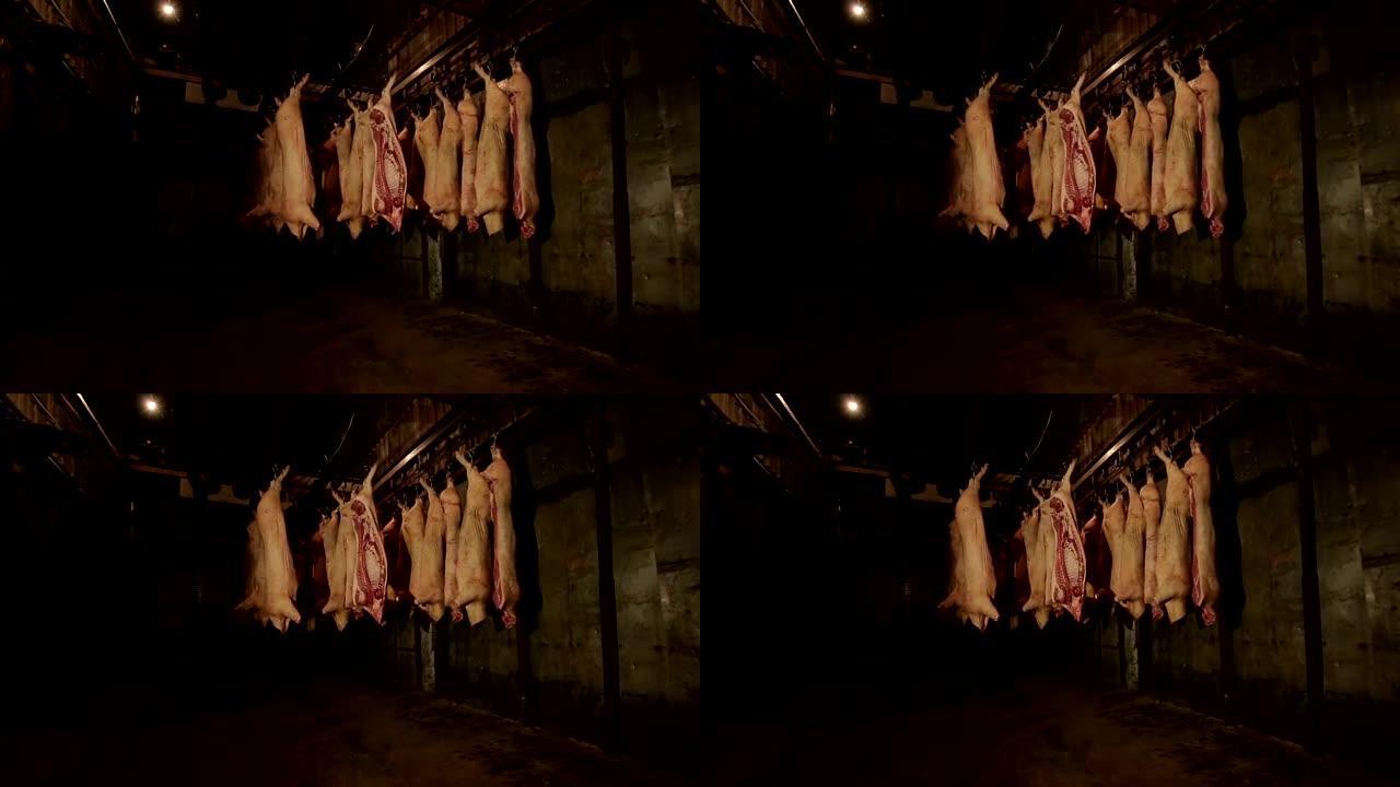 肉厂挂在钩子上的猪肉尸体。
