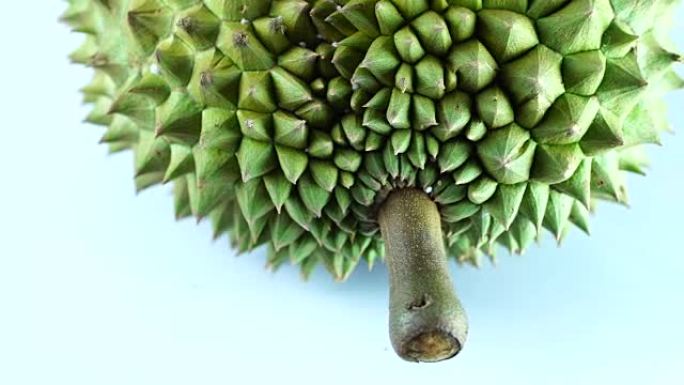旋转: 水果之王，榴莲是亚洲国家流行的热带水果