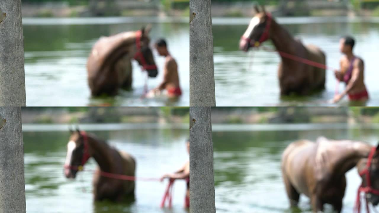 沐浴赛马，模糊照片