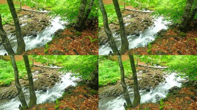 烟熏山溪。烟雾山