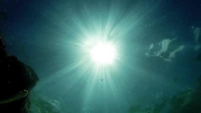 来自水下的镜头: 阳光和一条鱼游动