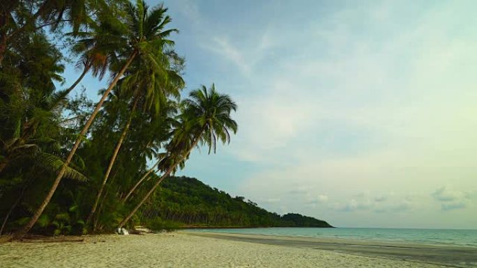 天堂岛美丽的热带海滩和大海，椰树