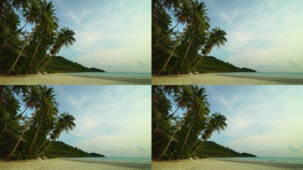 天堂岛美丽的热带海滩和大海，椰树