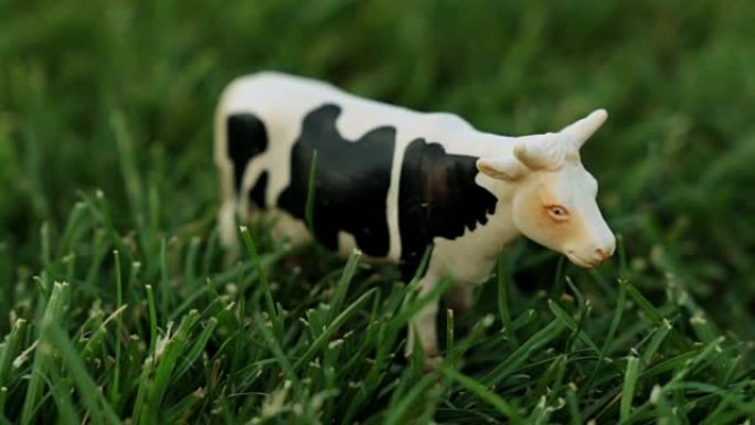 草地上一头母牛的雕像。草坪上的玩具牛。