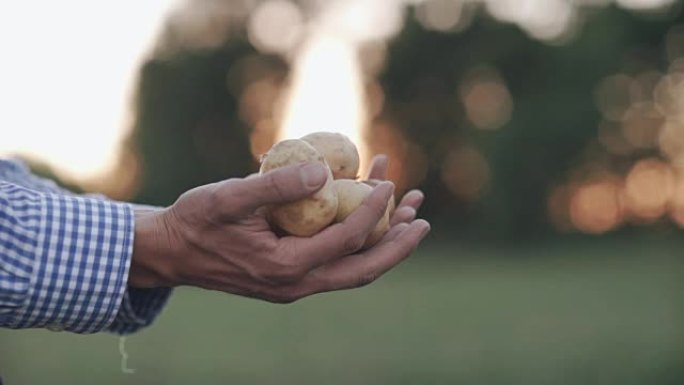 农民拿着土豆的生物制品