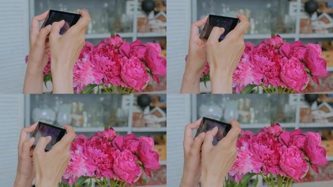 女人用智能手机拍摄粉红色牡丹的照片。