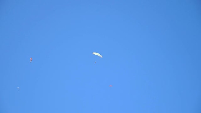 夏季晴天，几只滑翔伞在湛蓝的天空中翱翔。无法识别的人在气流中乘坐降落伞飞行，并在早晨享受自由。积极极