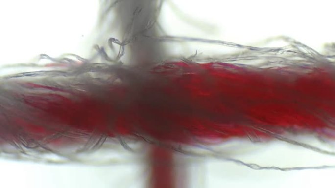 纤维白布或绷带吸收红色液体，在显微镜下