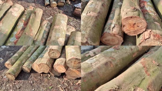 一堆木材木材料木头视频素材红荔木红荔树根
