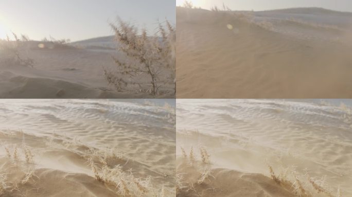 沙漠飞沙走石沙尘暴风沙空镜头特写高温恶劣