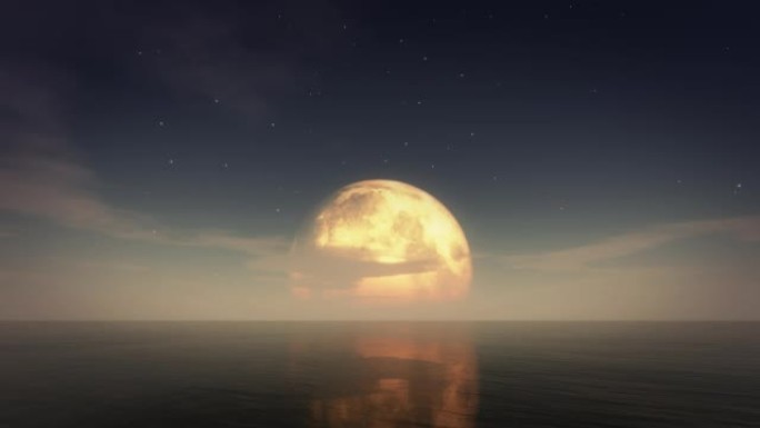 月夜海4k