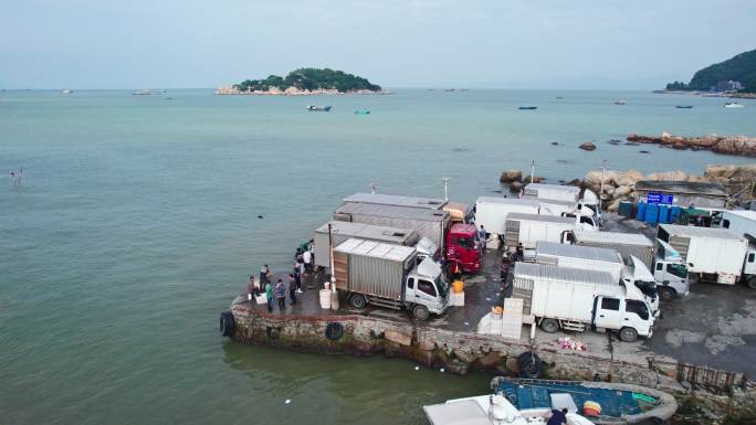 渔港码头卸鱼海鲜渔船停泊鲜活海鲜分拣