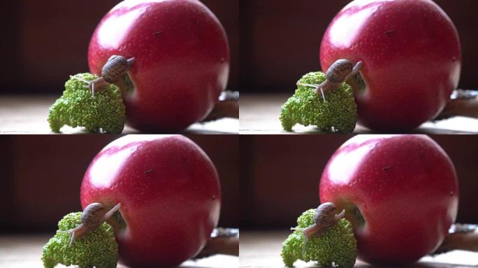 蜗牛爬过红苹果和绿色西兰花，可爱的动物，电影背景