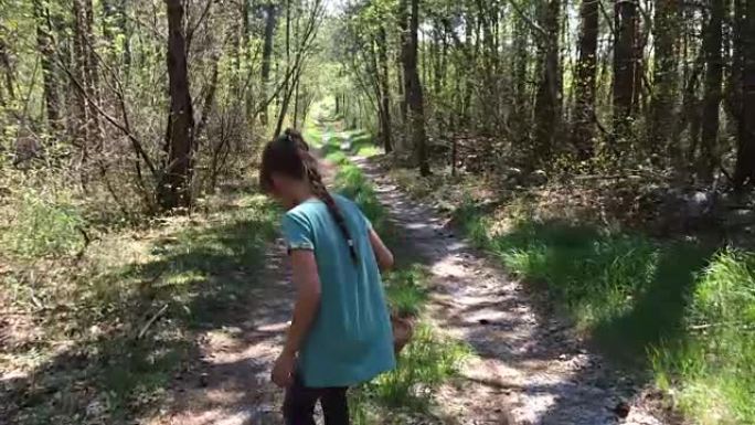 小女孩徒步在森林和采集野生芦笋